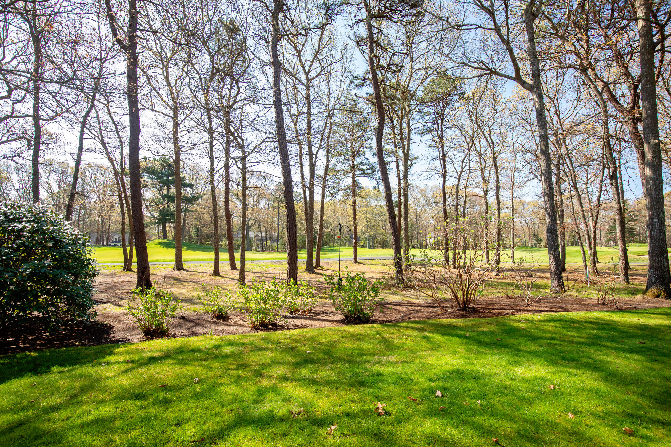 41 Reflection Drive Sandwich, MA 02563 - Photo 34 of 40 NEW10