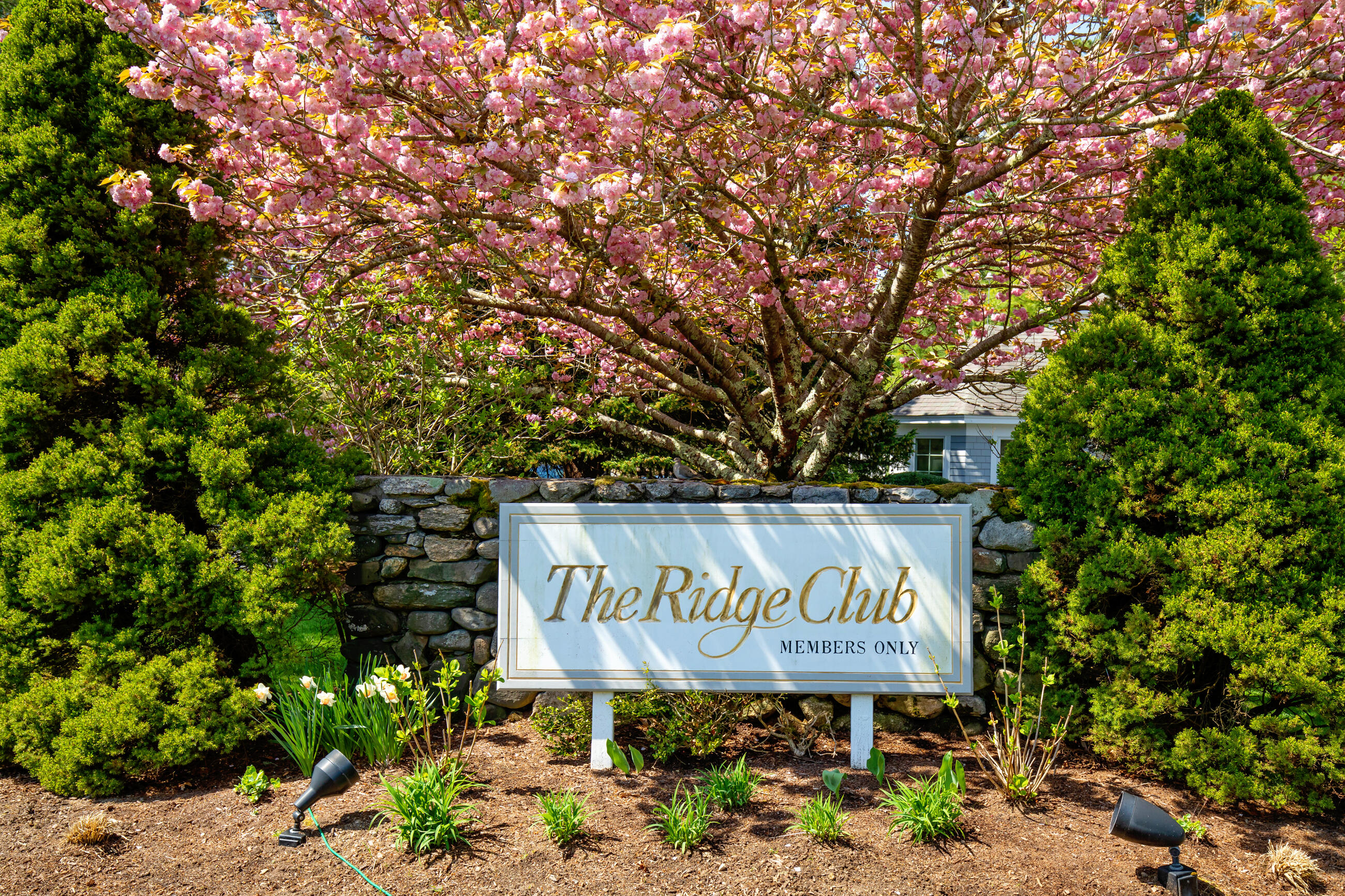 41 Reflection Drive Sandwich, MA 02563 - Photo 40 of 40 NEW27