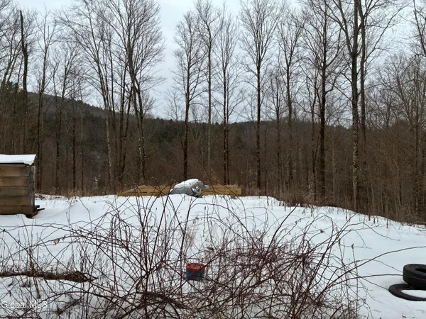 $25,000 | 38 Hill Hollow Road, Petersburgh, NY 12138