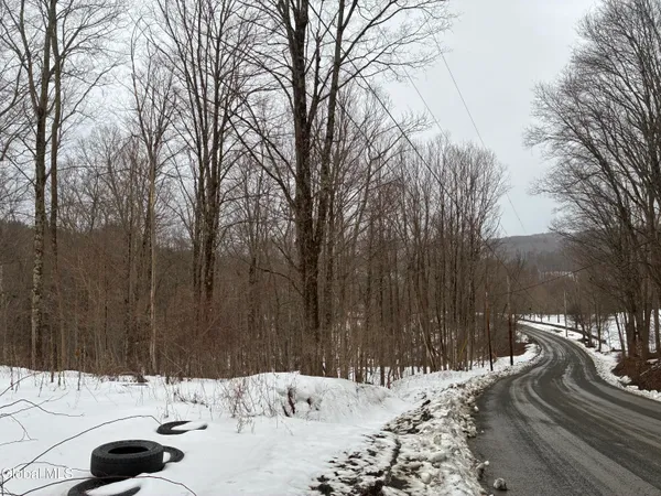 $25,000 | 38 Hill Hollow Road, Petersburgh, NY 12138