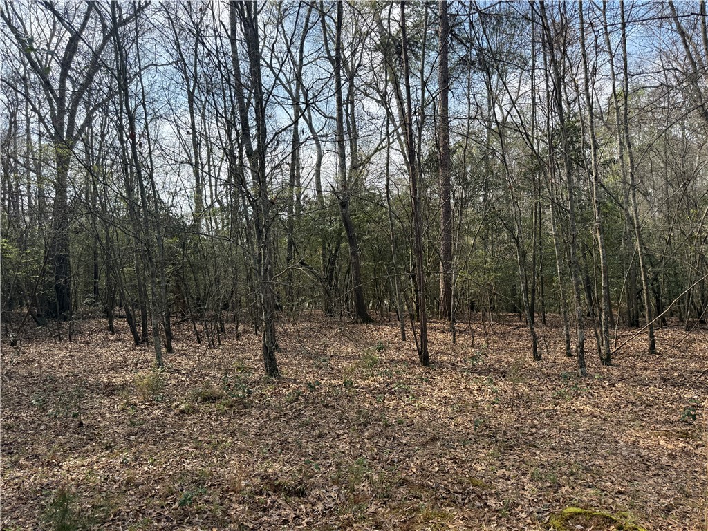 0 Holland Ford Road Pelzer, SC 29669 - Photo 35 of 35