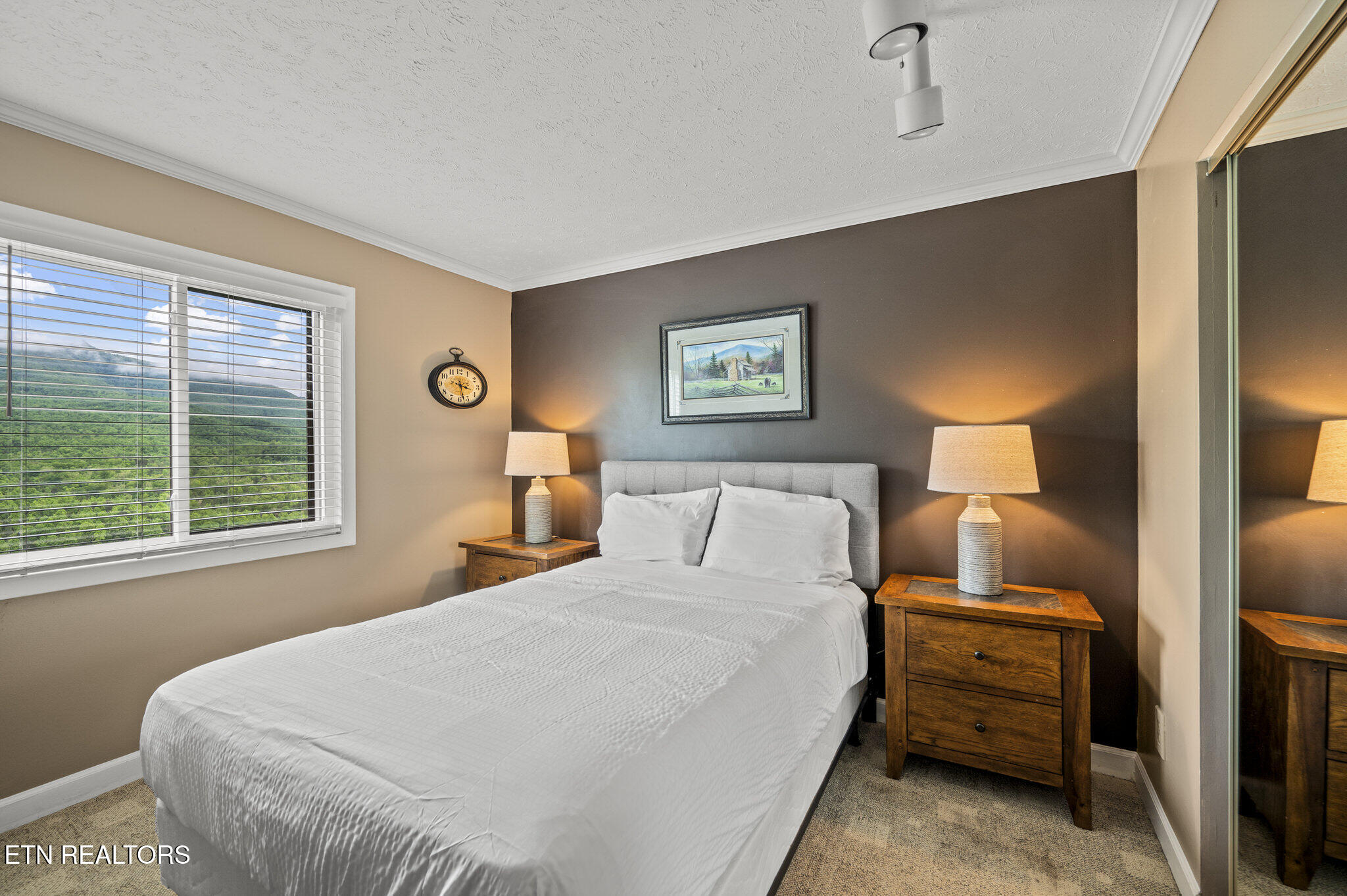 3710 Weber Road, Unit C308 Gatlinburg, TN 37738 - Photo 12 of 38 DSC_1057