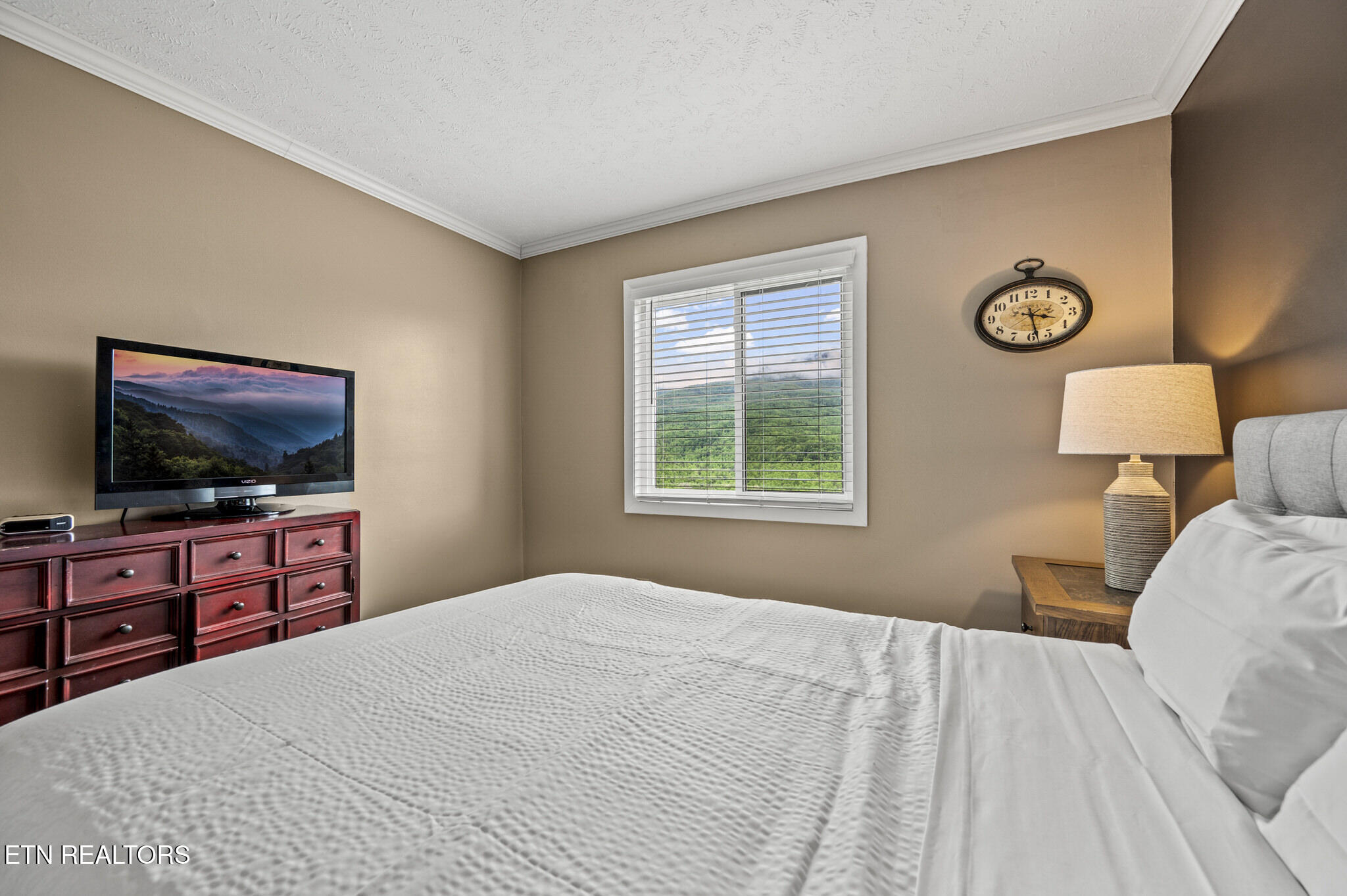 3710 Weber Road, Unit C308 Gatlinburg, TN 37738 - Photo 13 of 38 DSC_1061