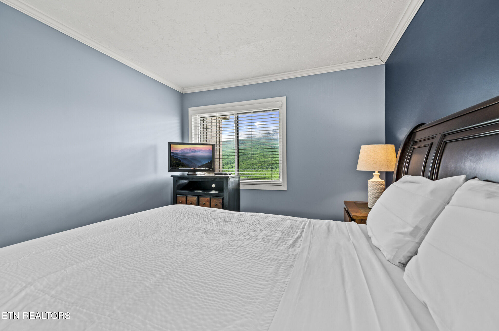 3710 Weber Road, Unit C308 Gatlinburg, TN 37738 - Photo 19 of 38 DSC_1097