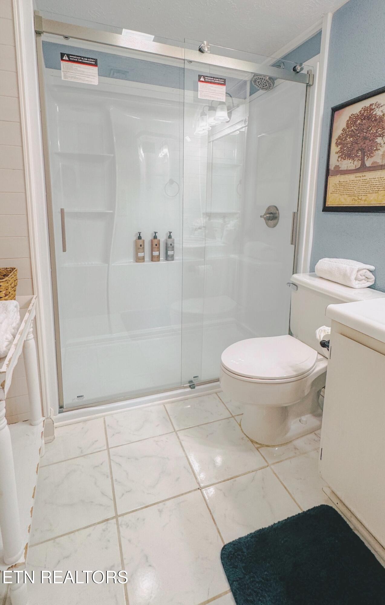 3710 Weber Road, Unit C308 Gatlinburg, TN 37738 - Photo 23 of 38 ENSUITE WALK IN SHOWER C308 2- Edited