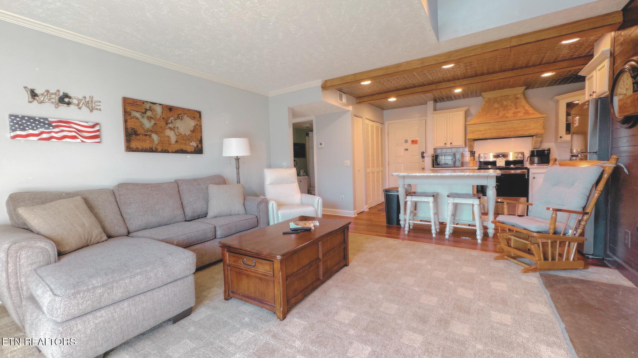 3710 Weber Road, Unit C308 Gatlinburg, TN 37738 - Photo 7 of 38 LR C308 View 2 Edited