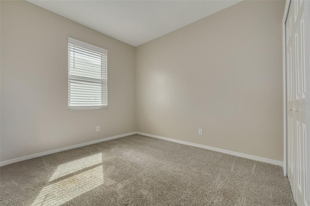 10632 Firebrick Court Trinity, FL 34655 - Photo 26 of 45
