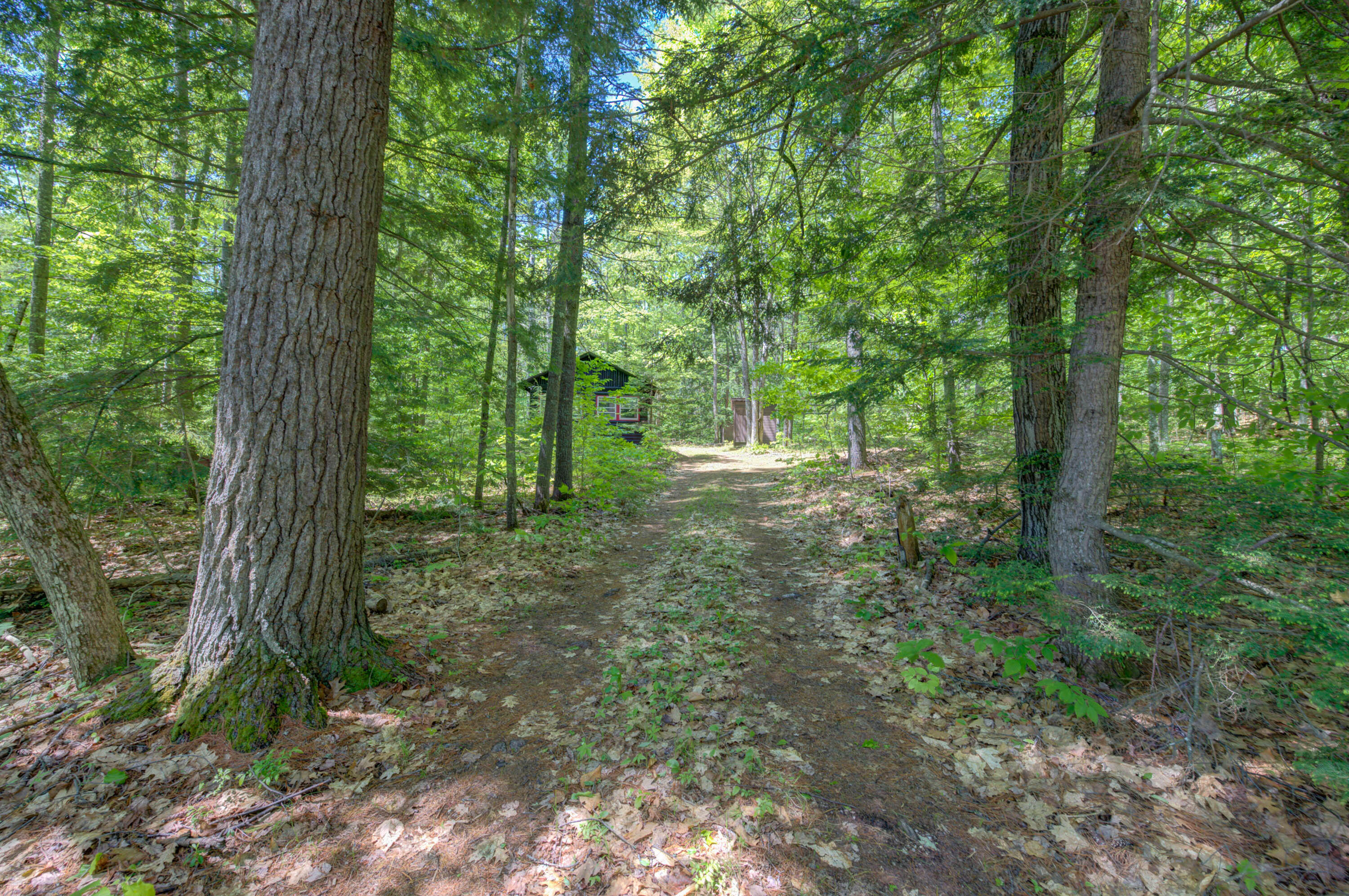 205 Northwest River Road Sebago, ME 04029 - Photo 5 of 27 pic-2