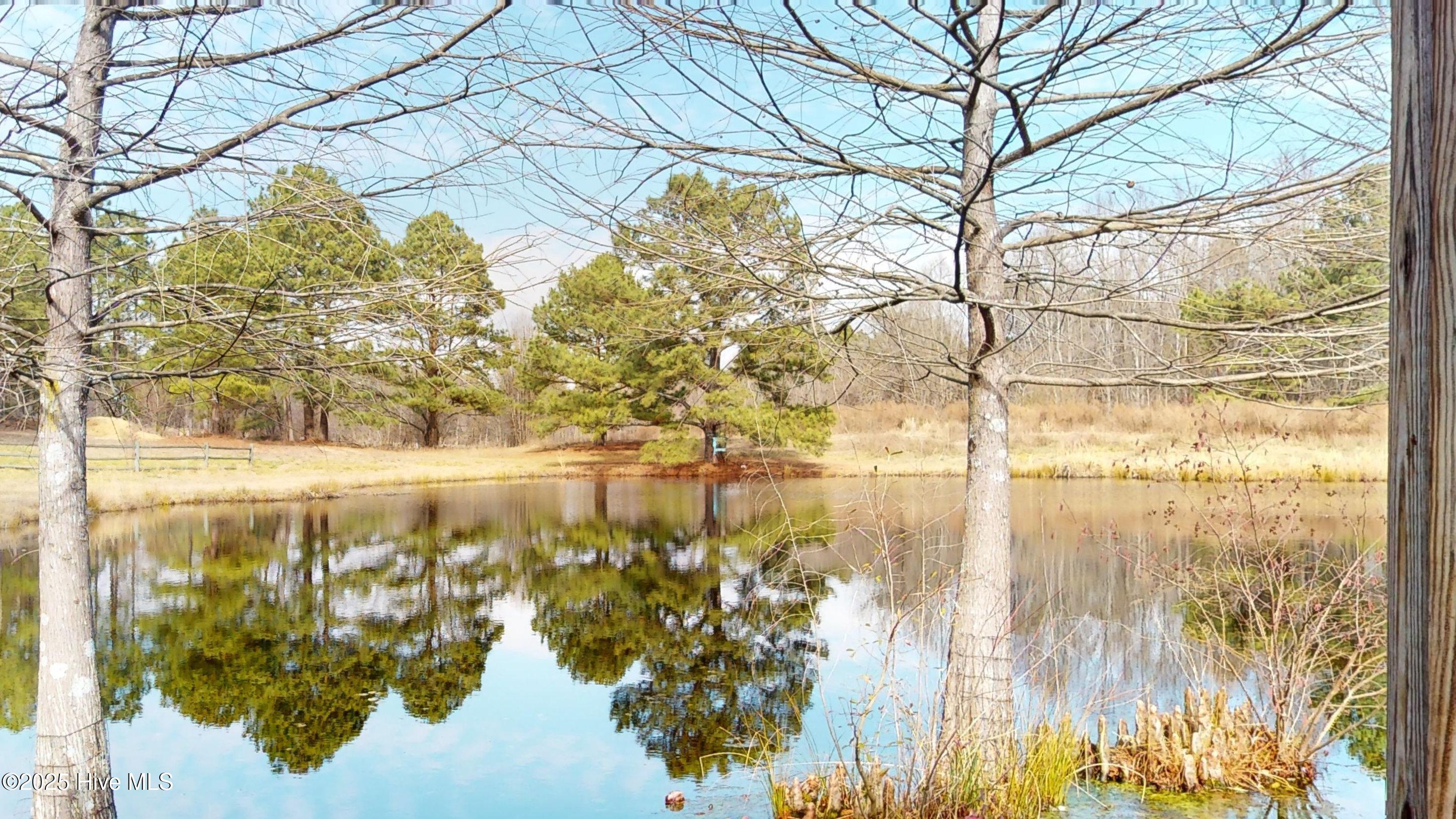 3565 Niagara Carthage Road Carthage, NC 28327 - Photo 25 of 89 Pond