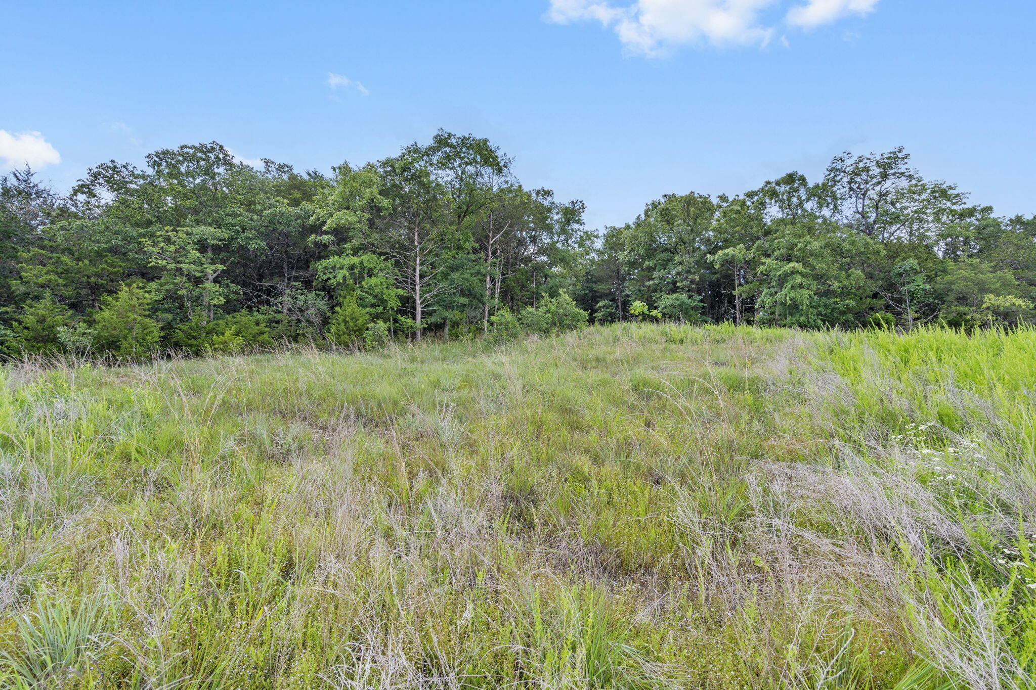 Tbd Luke Street Reeds Spring, MO 65737 - Photo 25 of 39 Tbd-Luke-St-Scenic-Build-Site
