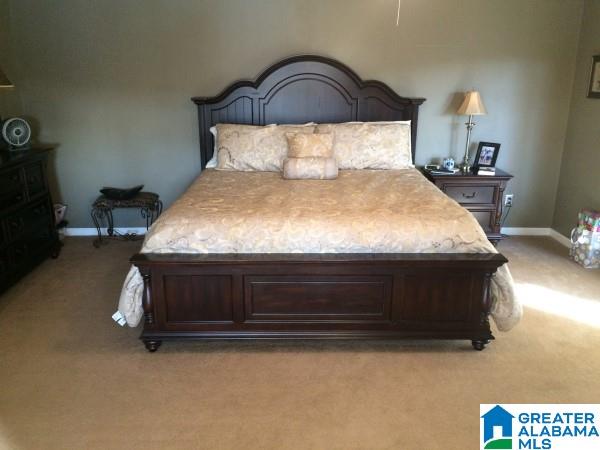 443 Henderson Camp Road Adger, AL 35006 - Photo 24 of 34