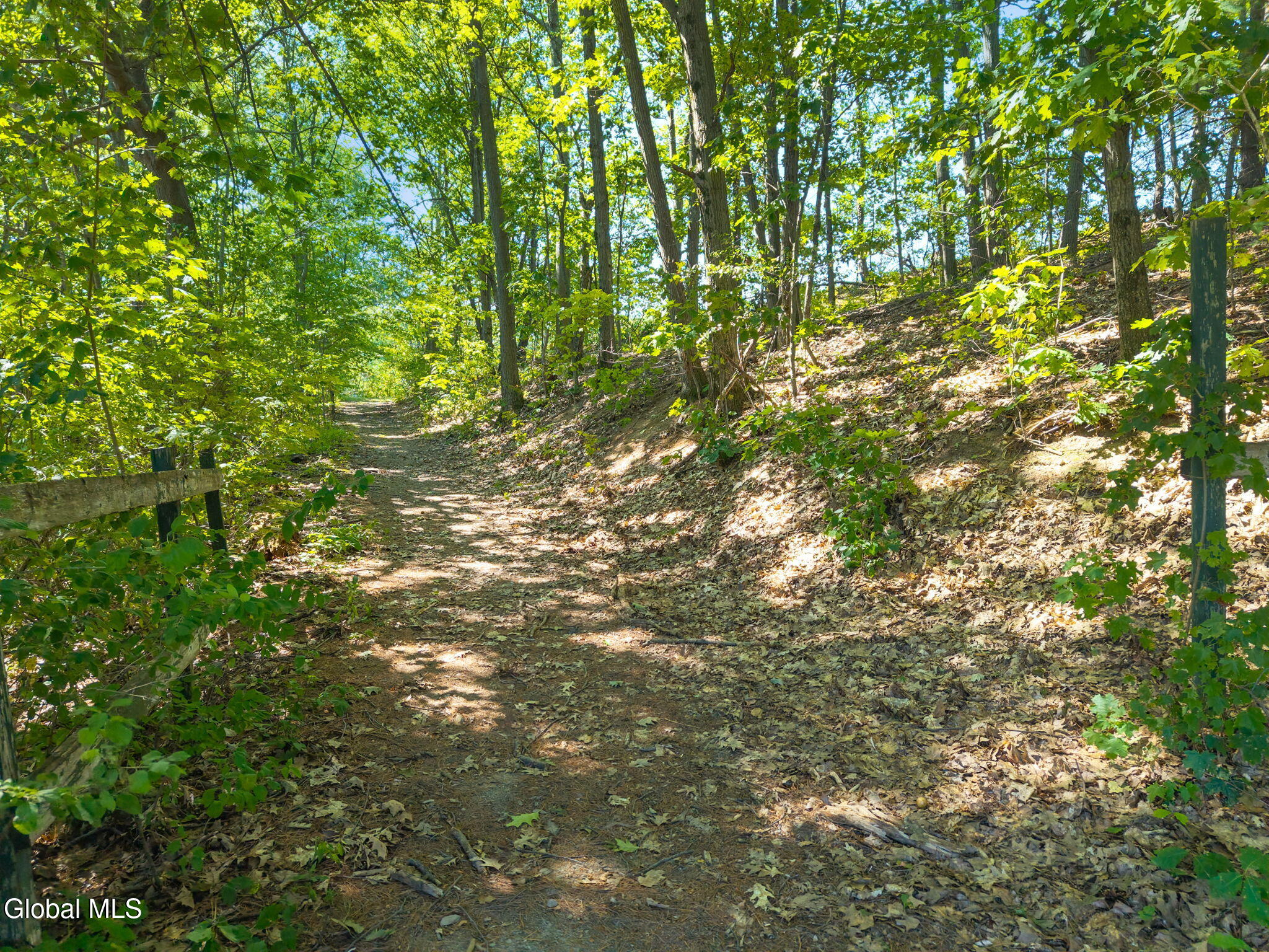 1926 Currybush Road Rotterdam, NY 12306 - Photo 45 of 60 45-1926CurrybushRd_45