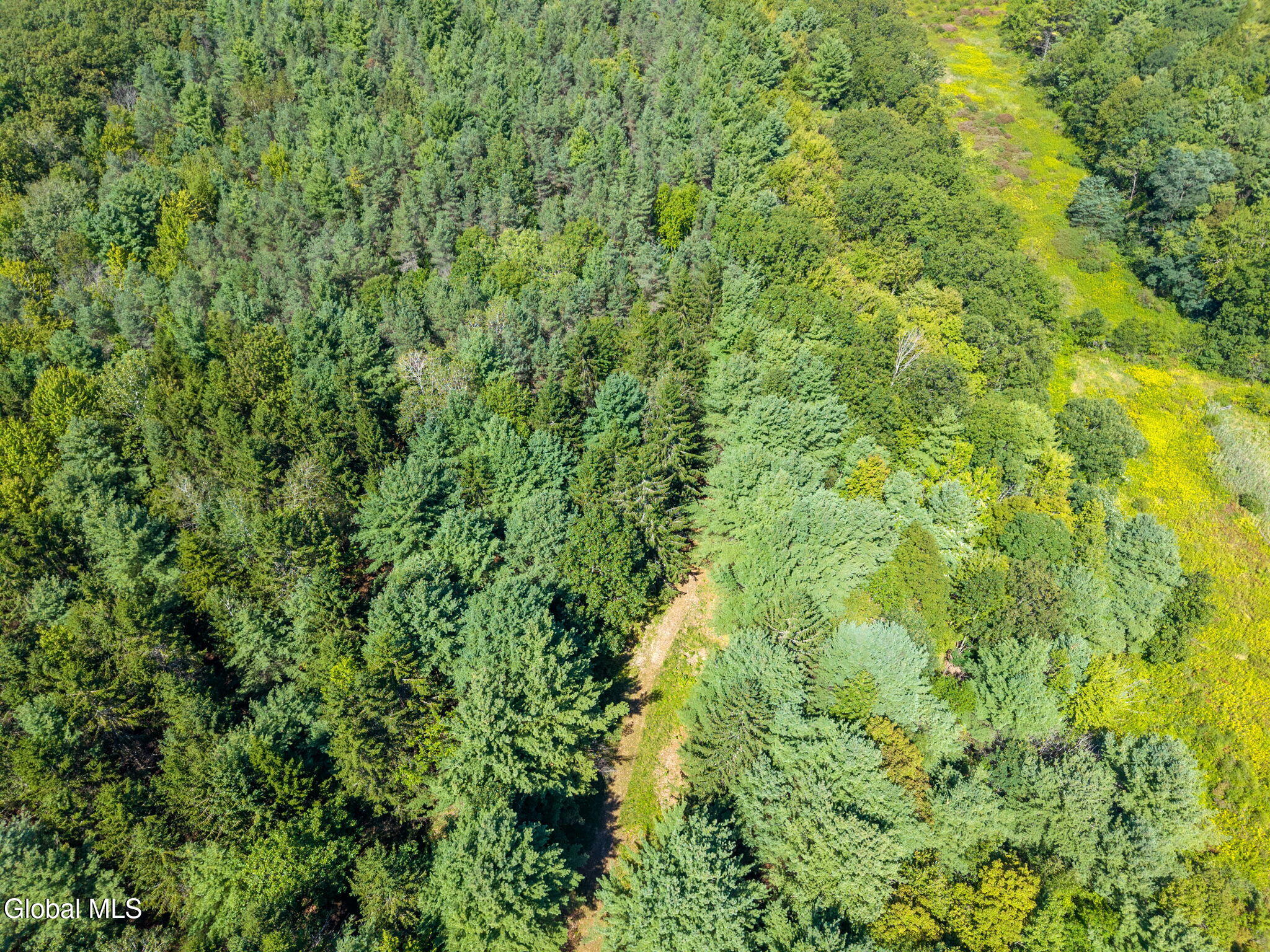 1926 Currybush Road Rotterdam, NY 12306 - Photo 54 of 60 55-1926CurrybushRd_55