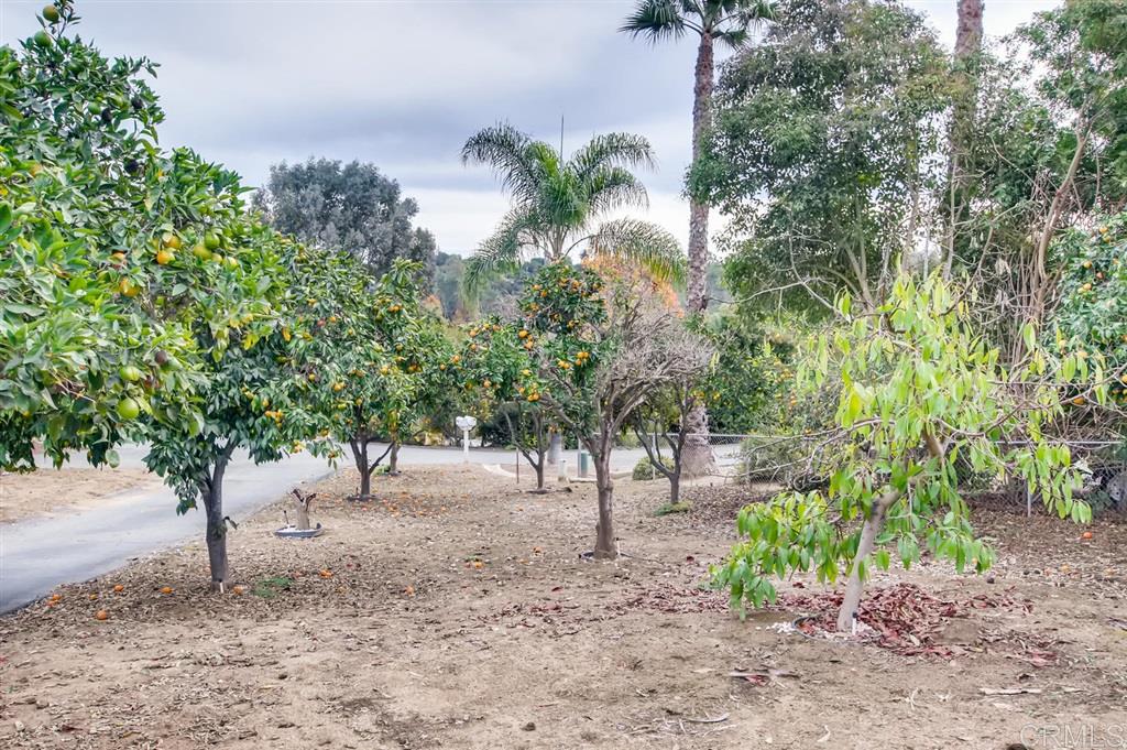 1313 Joy Road Fallbrook, CA 92028 - Photo 11 of 11