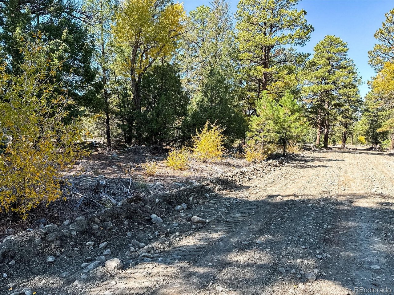 54 Big Bear Road Mosca, CO 81146 - Photo 3 of 8 Gallery Image 3