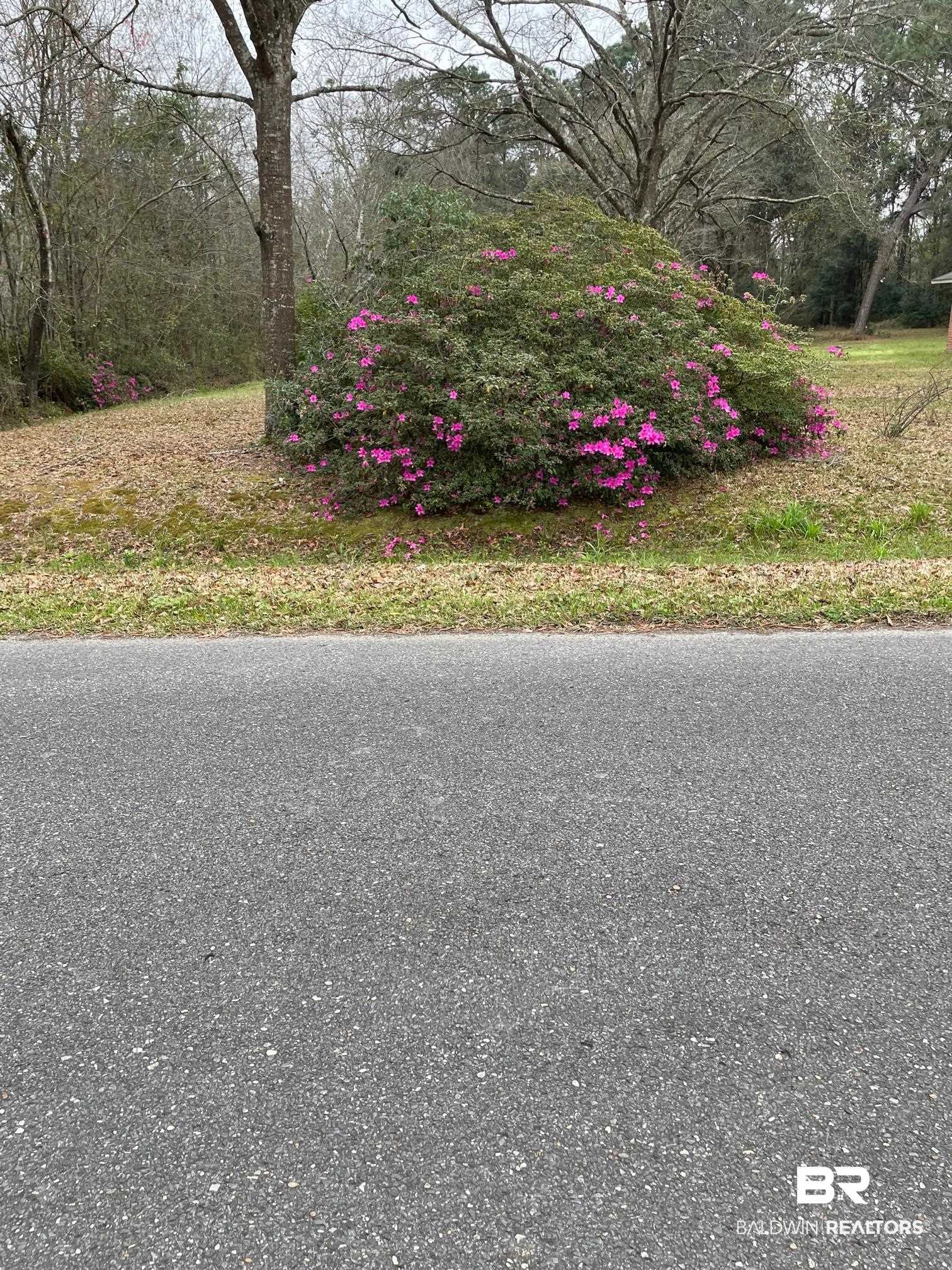 4146 Furman Drive Mobile, AL 36619 - Photo 7 of 7