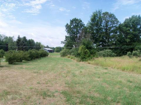 19159 Hickory Ridge Road Fenton, MI 48430 - Photo 24 of 24 20192397-23.JPG