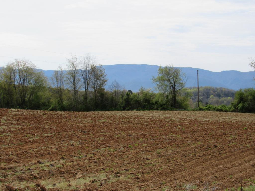 Lot 2 Chuckey Doak Road Afton, TN 37616 - Photo 2 of 11 Photo 2