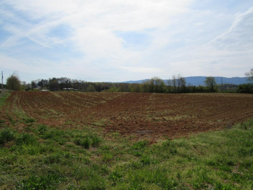 Lot 2 Chuckey Doak Road Afton, TN 37616 - Photo 3 of 11 Photo 3