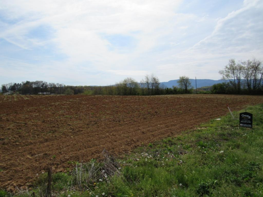 Lot 2 Chuckey Doak Road Afton, TN 37616 - Photo 4 of 11 Photo 4