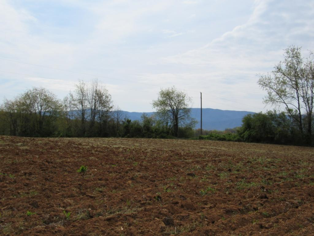 Lot 2 Chuckey Doak Road Afton, TN 37616 - Photo 6 of 11 Photo 6
