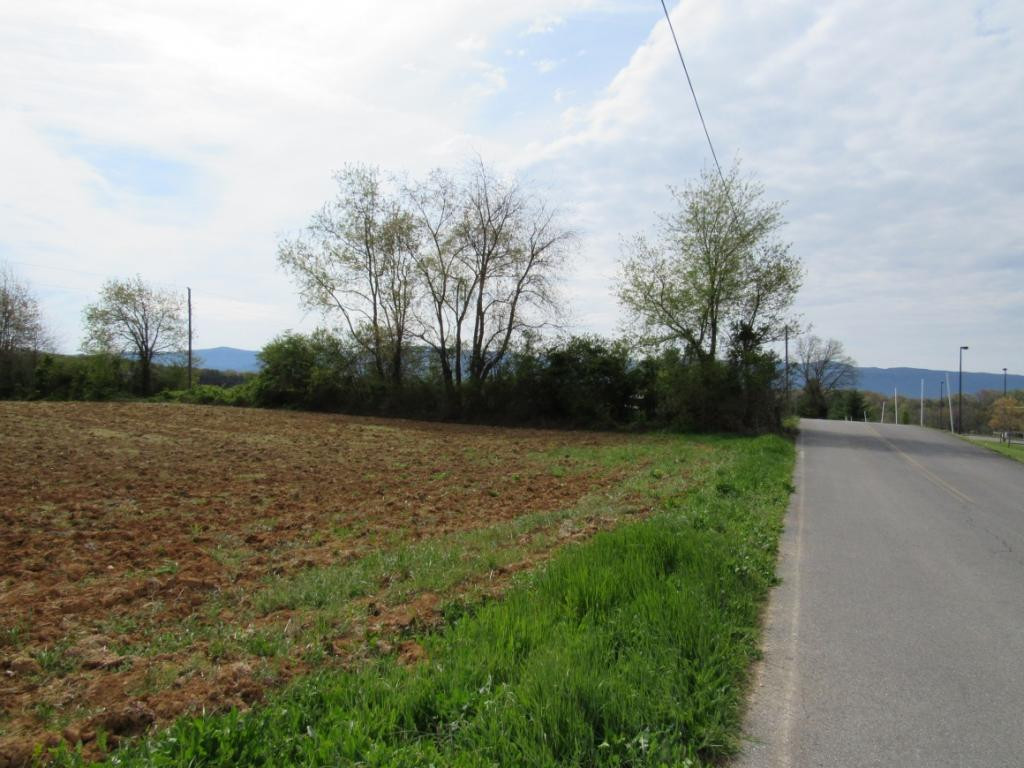Lot 2 Chuckey Doak Road Afton, TN 37616 - Photo 7 of 11 Photo 7
