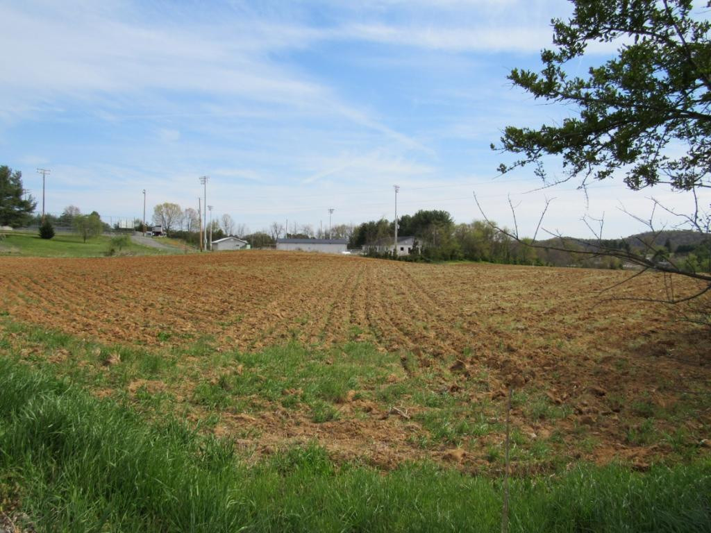 Lot 2 Chuckey Doak Road Afton, TN 37616 - Photo 8 of 11 Photo 8