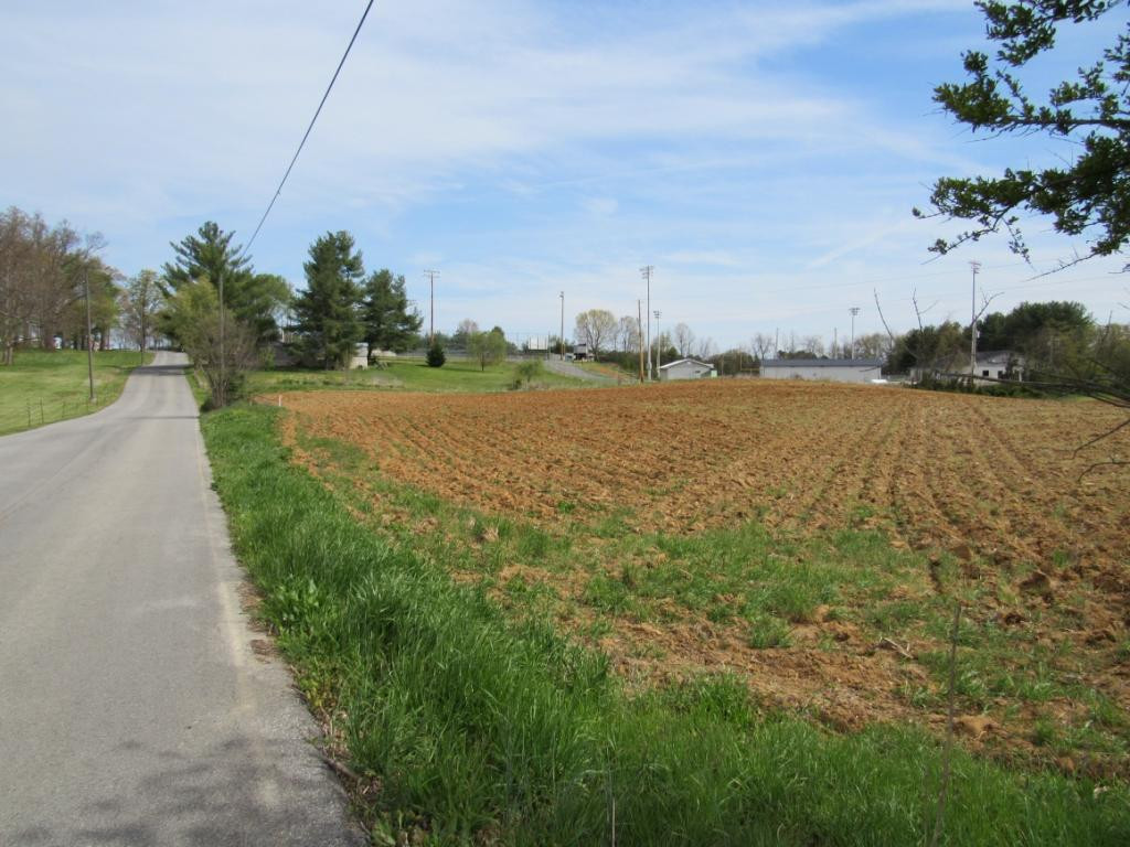 Lot 2 Chuckey Doak Road Afton, TN 37616 - Photo 9 of 11 Photo 9