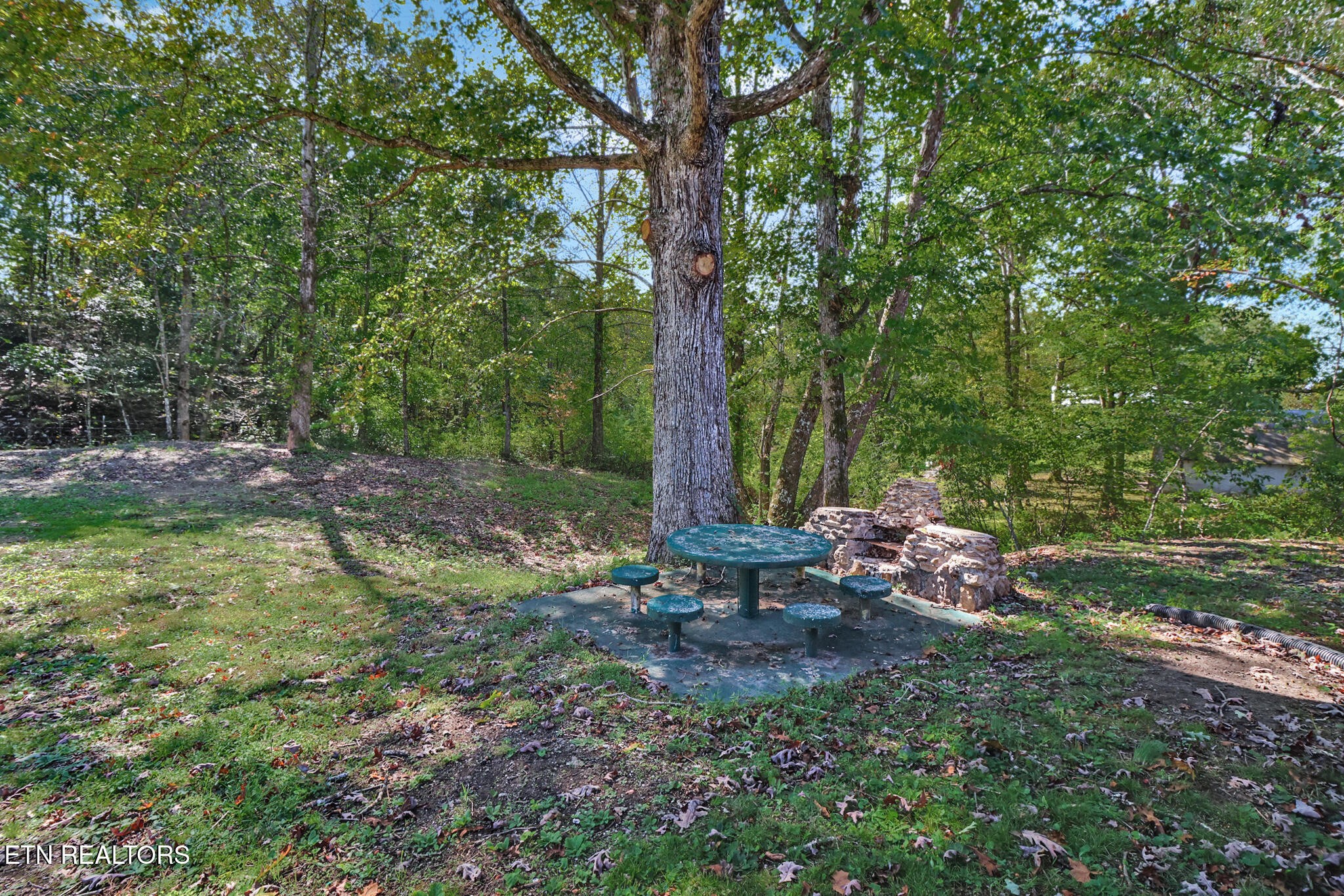 1271 Gouldstown Road Jamestown, TN 38556 - Photo 4 of 52 a view of a park with large trees