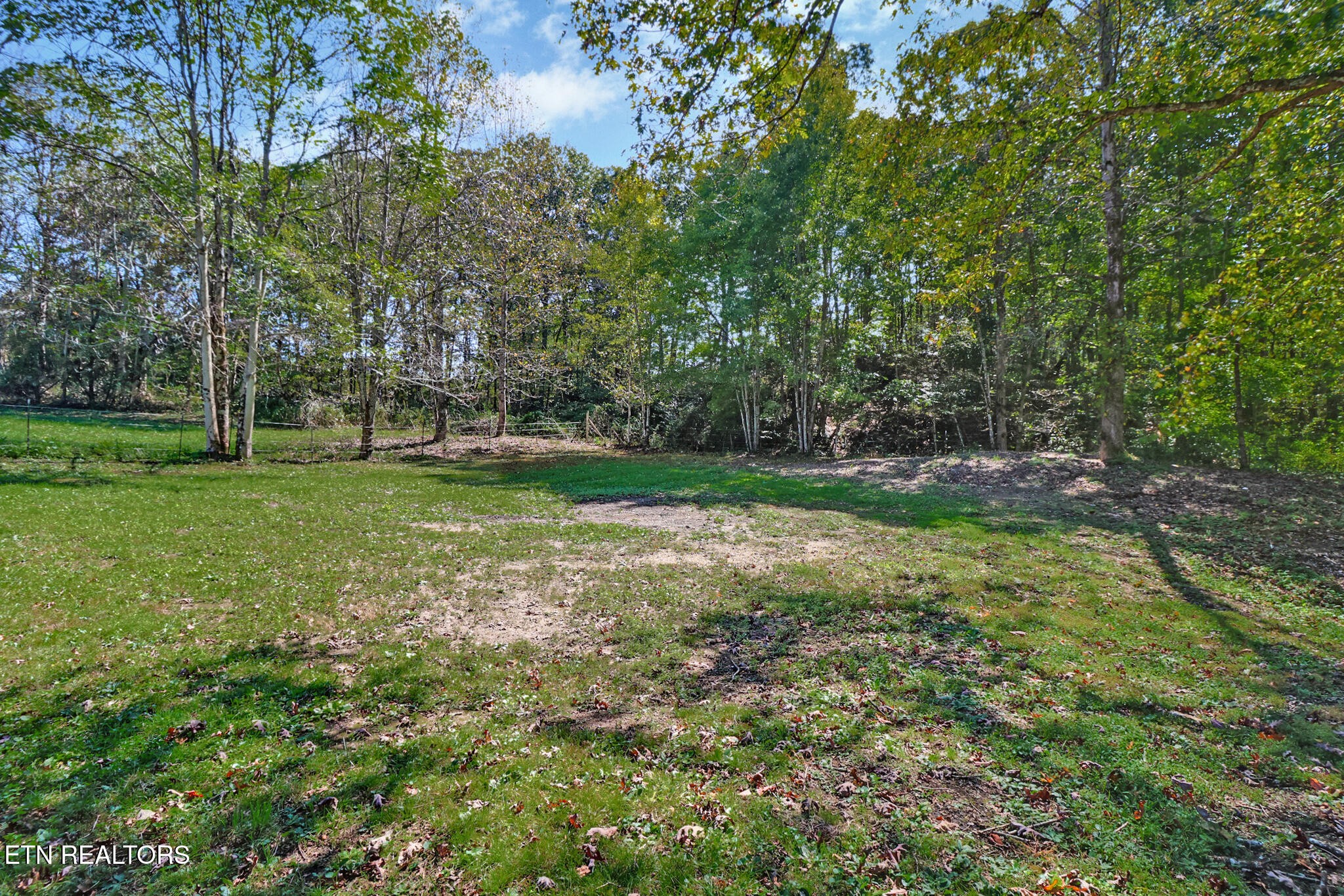 1271 Gouldstown Road Jamestown, TN 38556 - Photo 5 of 52 a view of a field with a tree