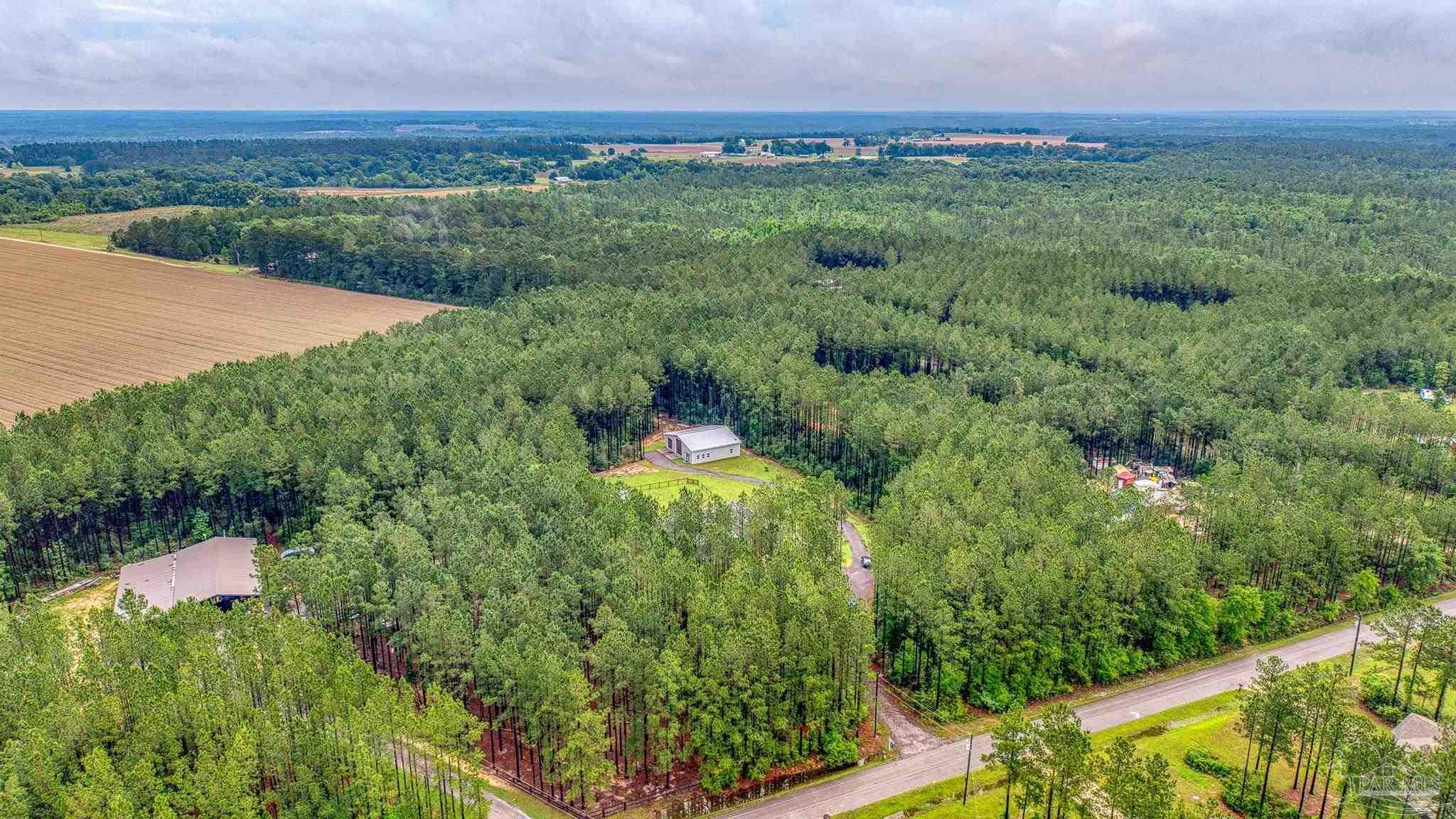 1918 Pineview Church Road Jay, FL 32565 - Photo 39 of 45 a view of a lush green space