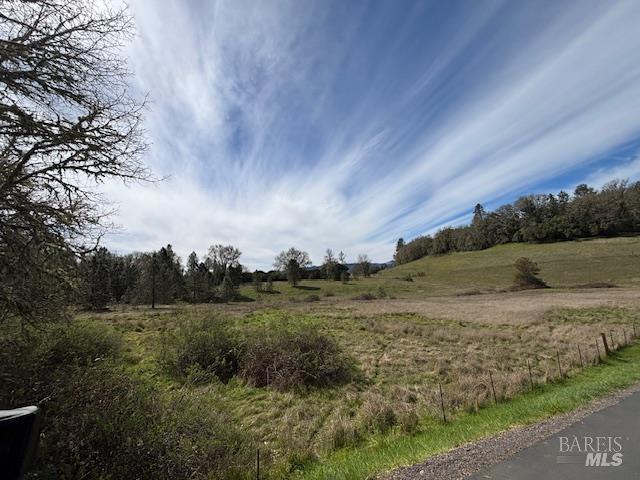 0 East Side Road Willits, CA 95490 - Photo 11 of 14 a view of a dry yard with trees