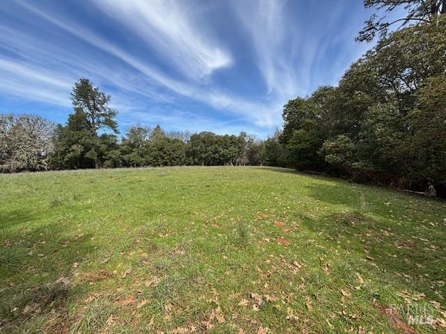 0 East Side Road Willits, CA 95490 - Photo 14 of 19