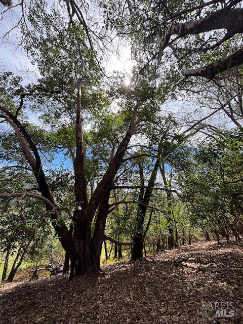 0 East Side Road Willits, CA 95490 - Photo 15 of 19