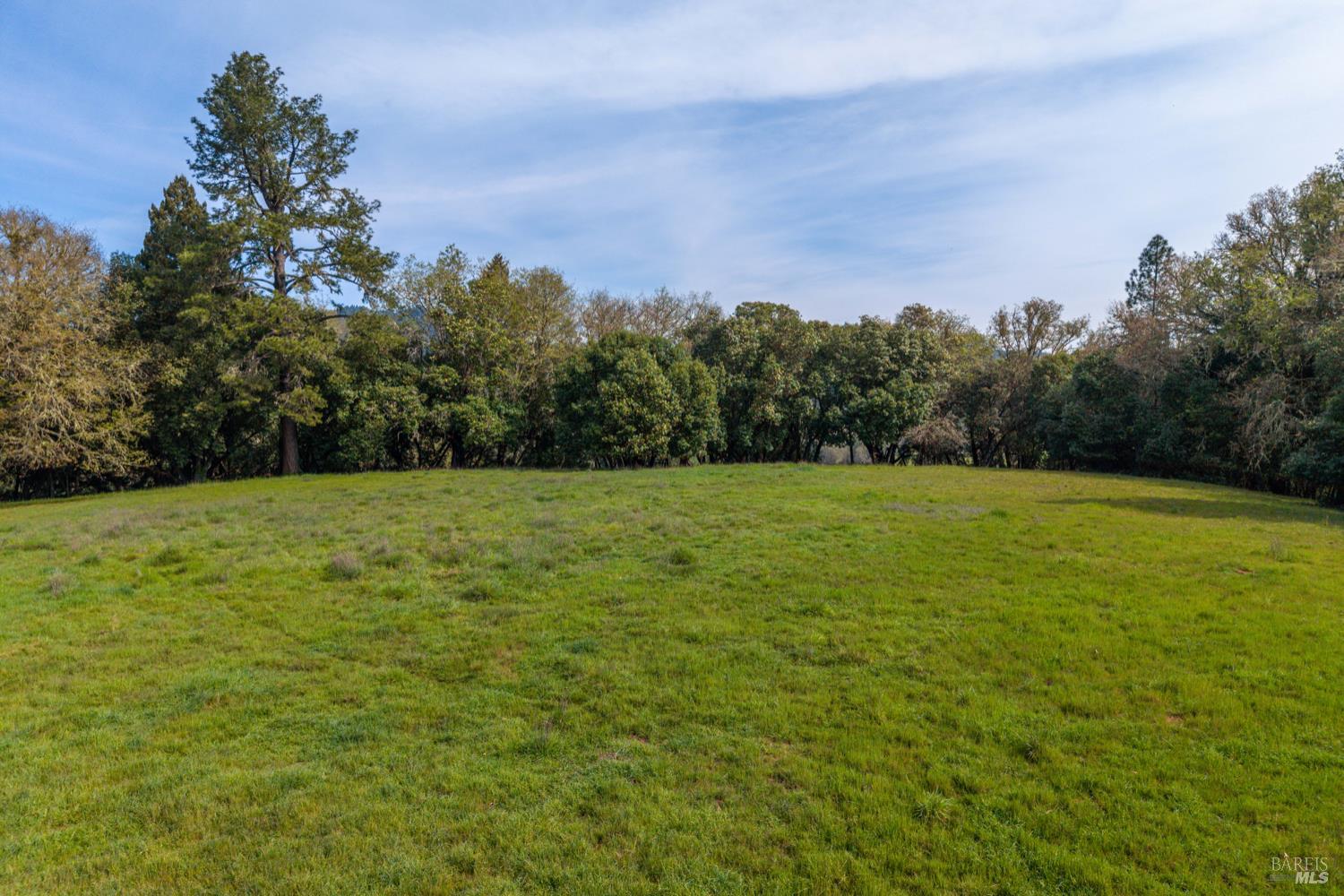 0 East Side Road Willits, CA 95490 - Photo 3 of 14 a view of a field with trees in the background