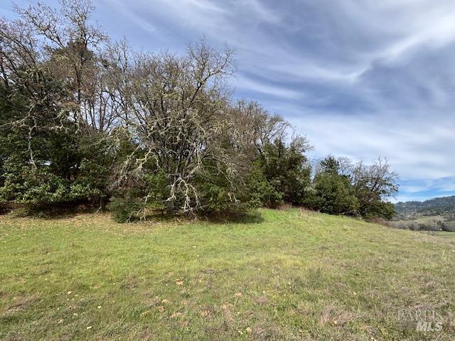 0 East Side Road Willits, CA 95490 - Photo 6 of 19