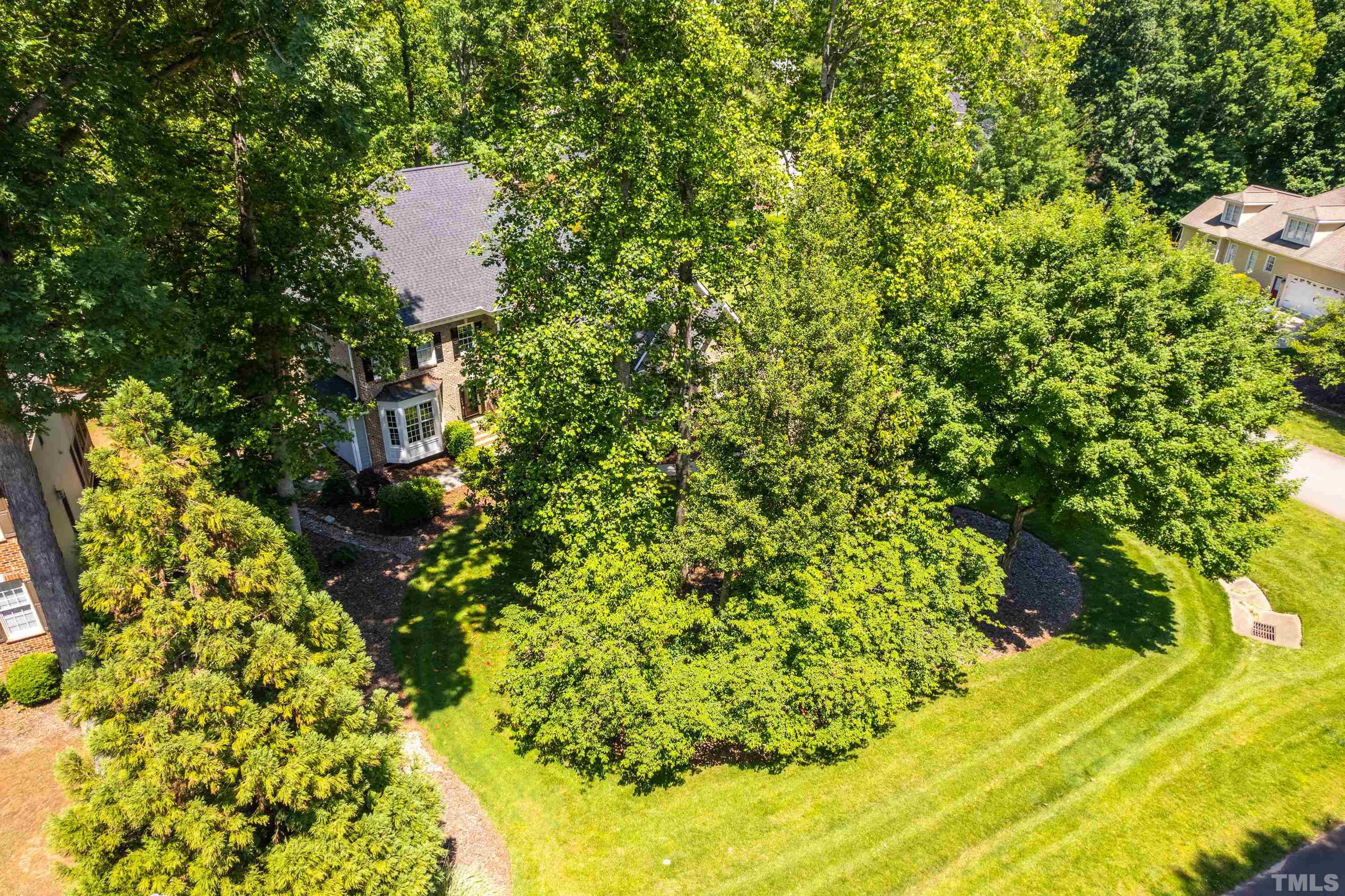 3728 Grandbridge Drive Apex, NC 27539 - Photo 73 of 76 a view of a yard