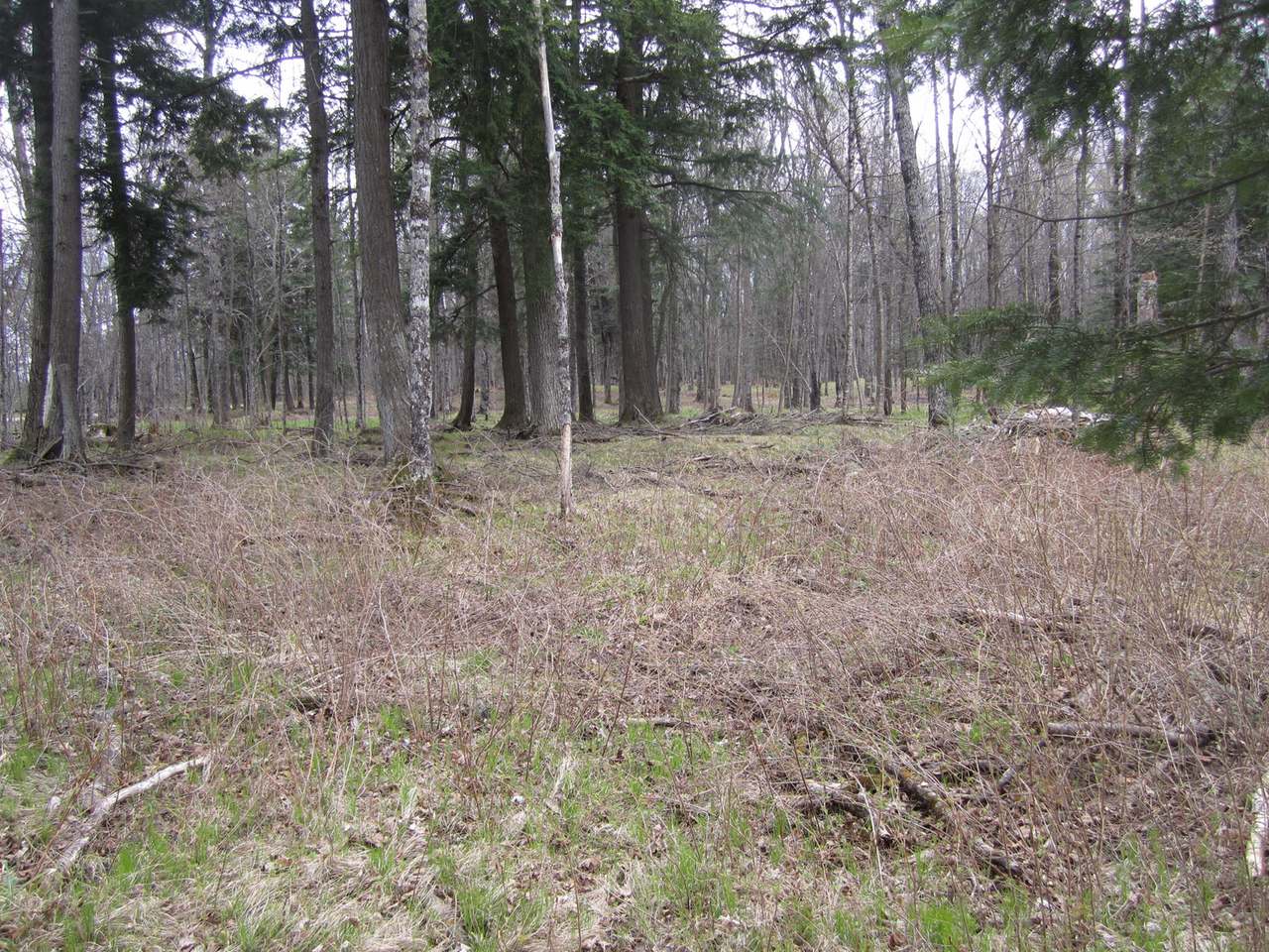 6284 Bambiland Road Mercer, WI 54547 - Photo 27 of 31 Gallery Image 27