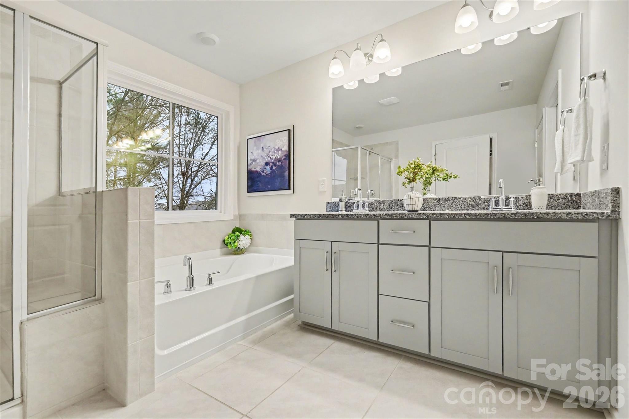 4293 Plumeria Way Fort Mill, SC 29707 - Photo 19 of 33 a bathroom with a sink a large mirror and a bathtub next to a window