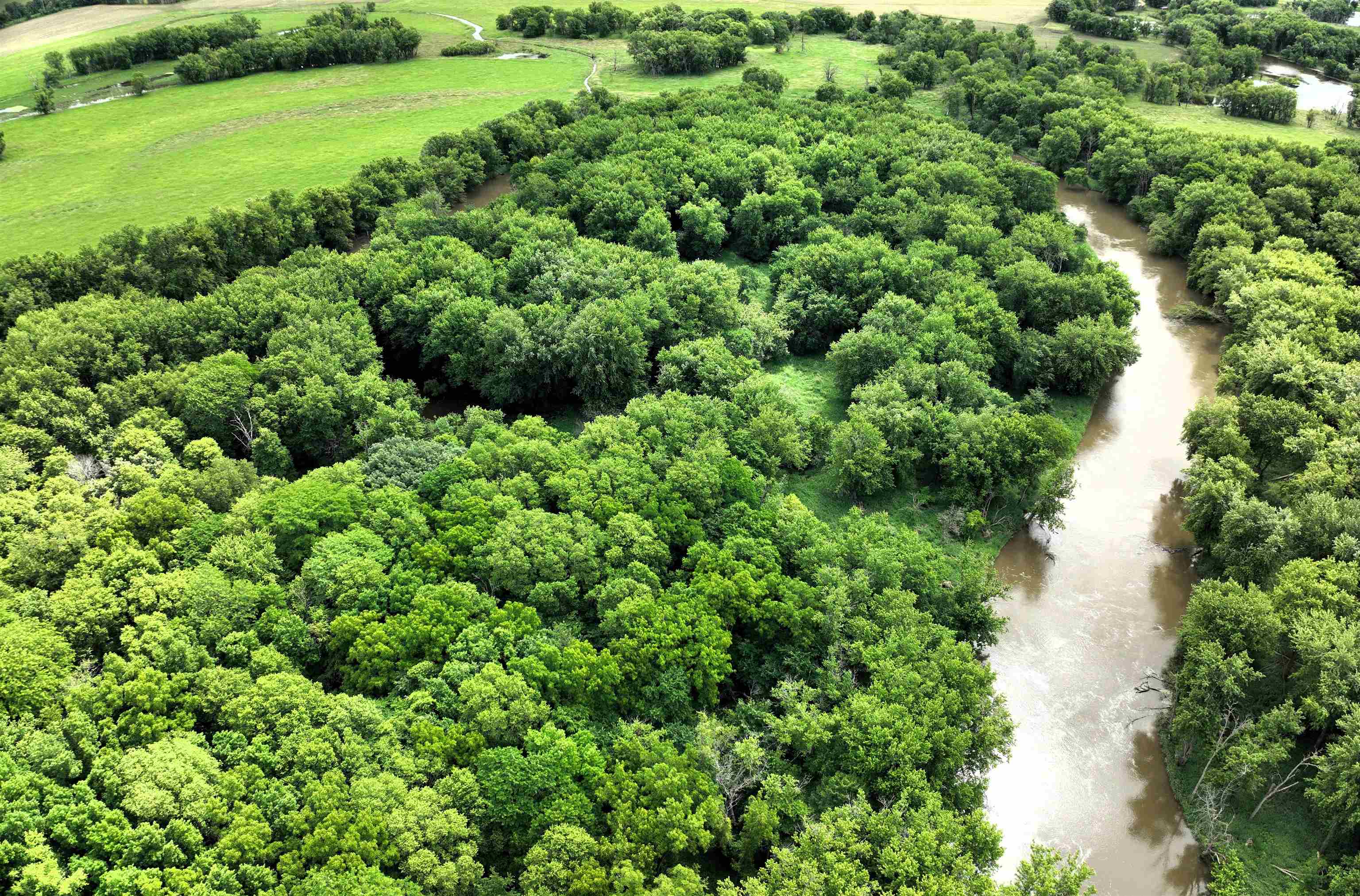 89.14-acres Smokey Hollow Road Freeport, IL 61032 - Photo 11 of 15