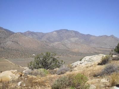 7730003 South Lobo Road Weldon, CA 93283 - Photo 7 of 8