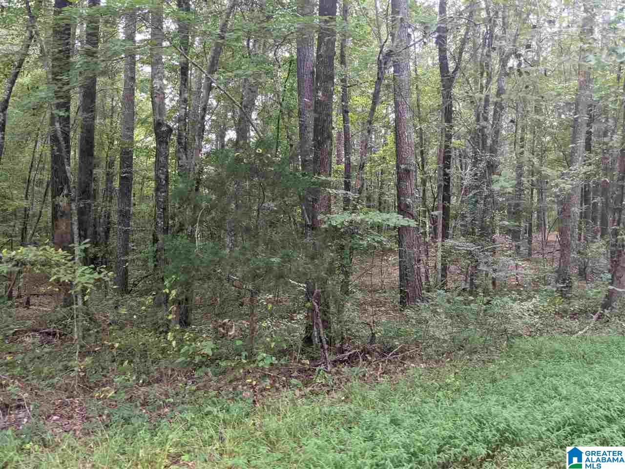 0 Smith Avenue, Unit 3 2 Anniston, AL 36207 - Photo 35 of 43