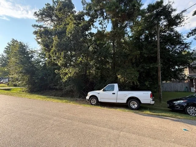 a car parked in front of a house with a yard