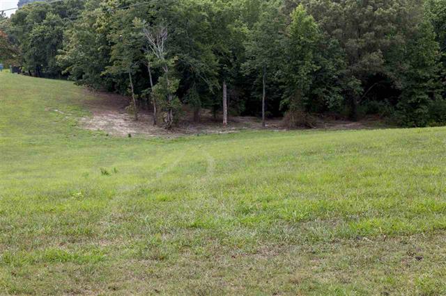 Lot 2 Walnut Grove Church Road Dayton, TN 37321 - Photo 4 of 5 3