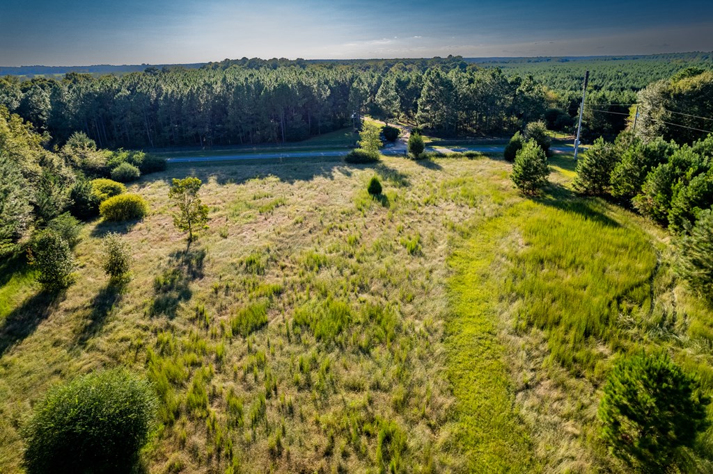 2226 Randall Wade Road Headland, AL 36345 - Photo 46 of 60