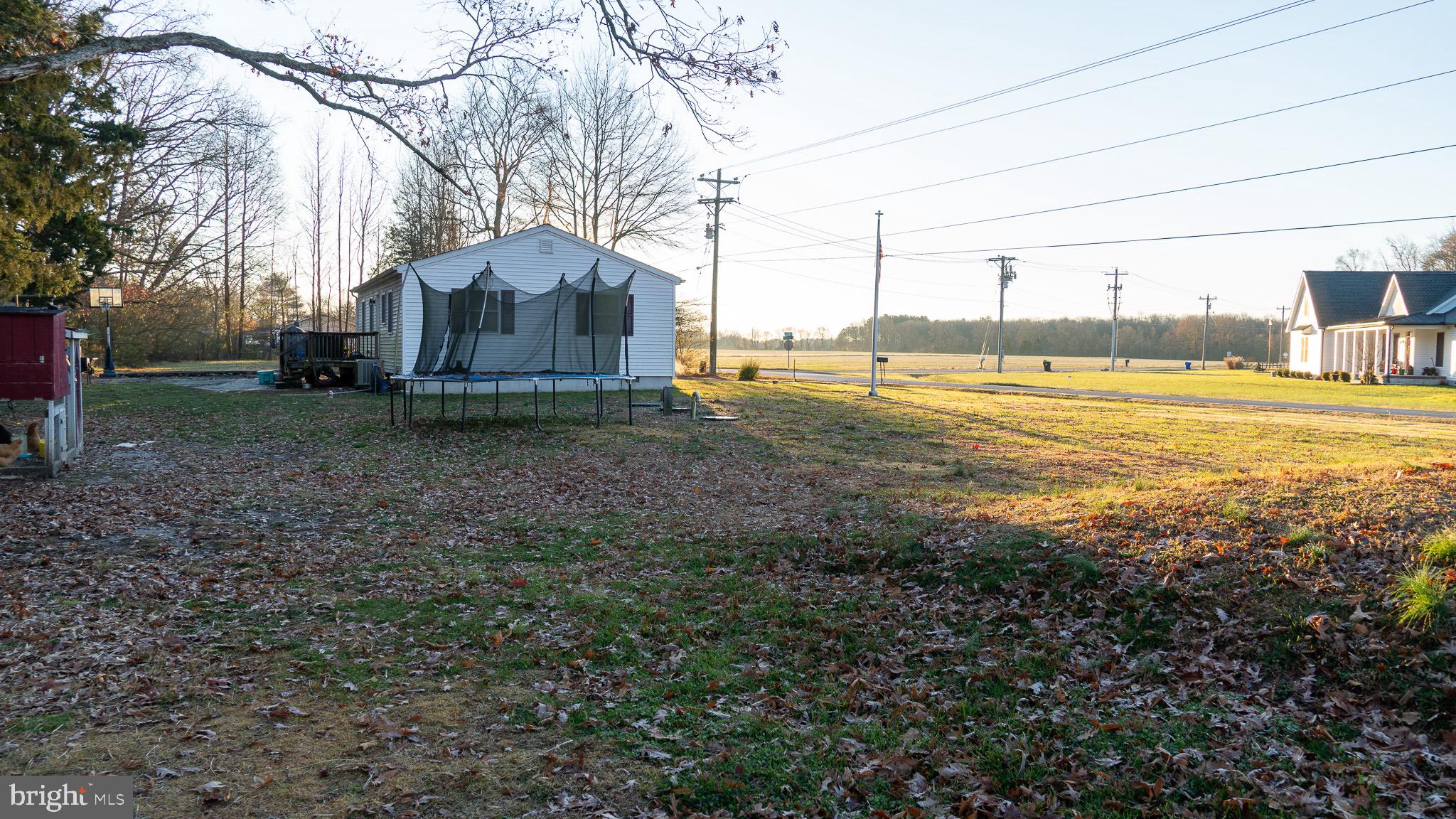 3705 Firetower Road Felton, DE 19943 - Photo 5 of 40 a house view with a big yard and large trees