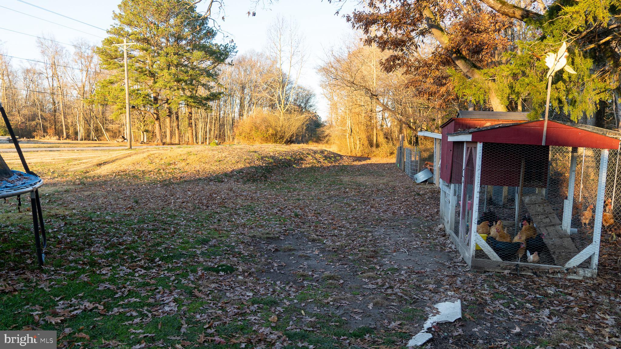 3705 Firetower Road Felton, DE 19943 - Photo 8 of 40 a backyard of a house with barbeque oven and outdoor seating