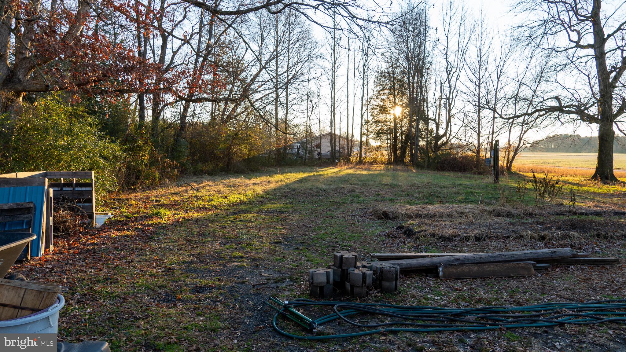 3705 Firetower Road Felton, DE 19943 - Photo 10 of 40 a view of a backyard with trees