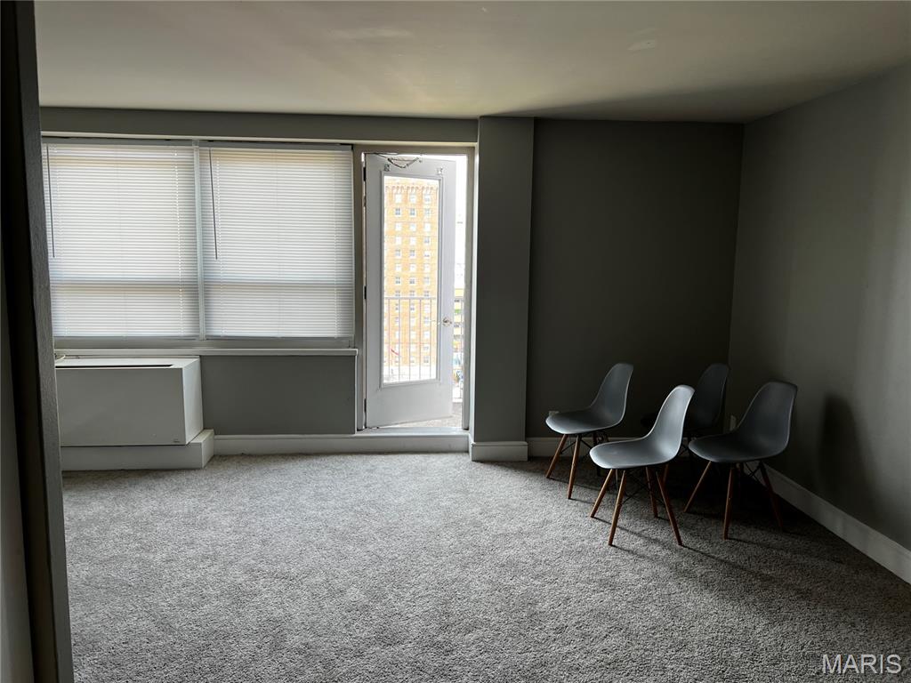 210 North 17th Street, Unit 1007 St. Louis, MO 63103 - Photo 8 of 10