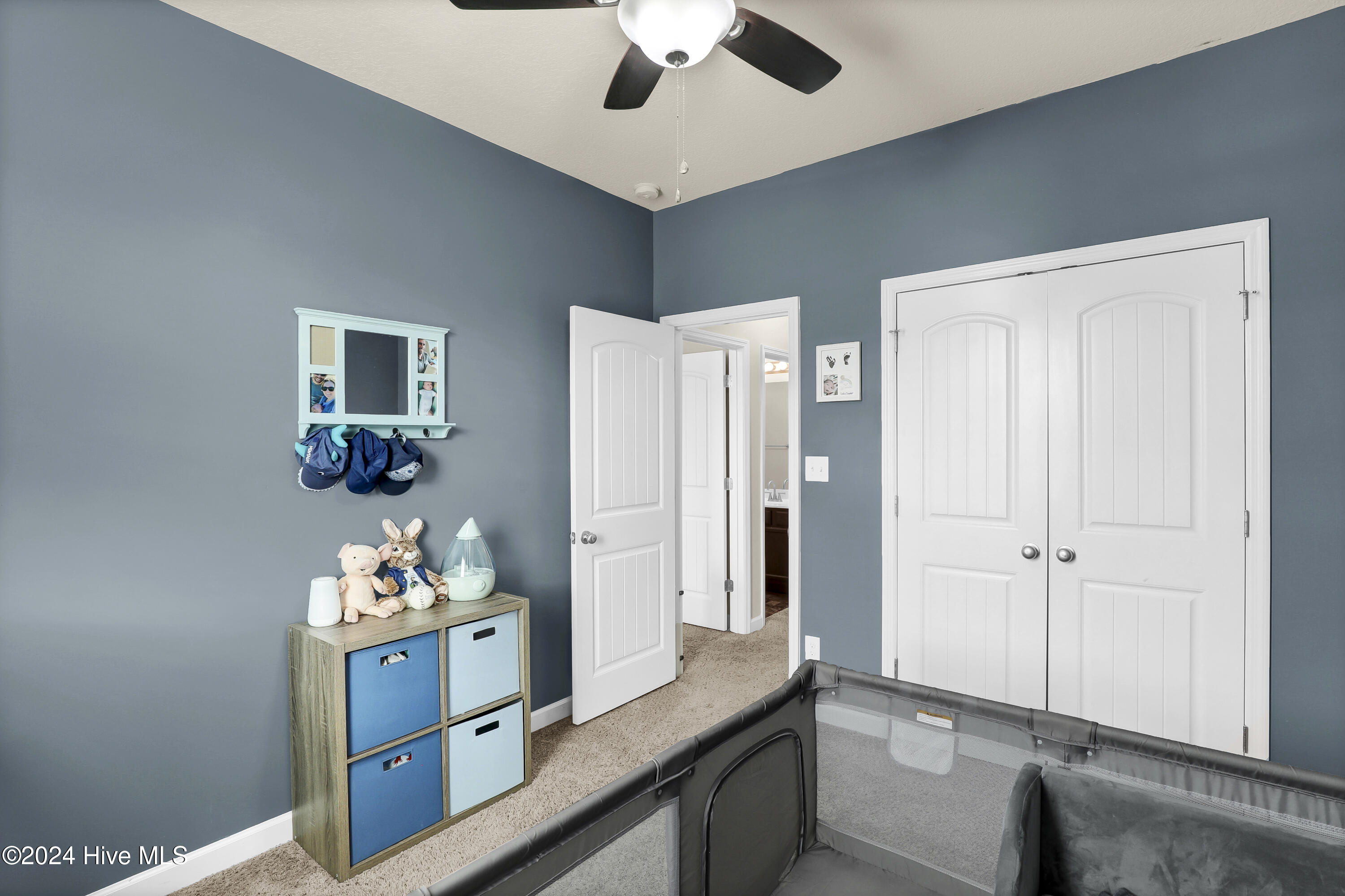 313 Frisco Way Holly Ridge, NC 28445 - Photo 25 of 45 Bedroom 3